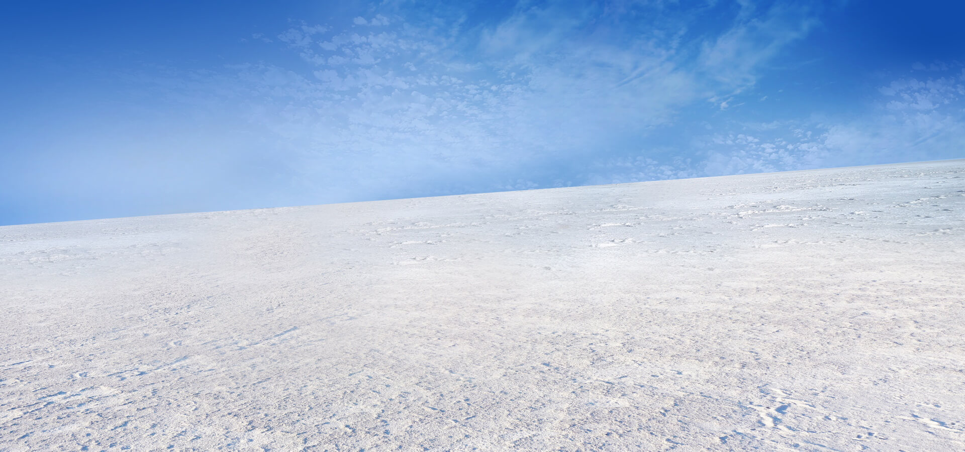 White Rann